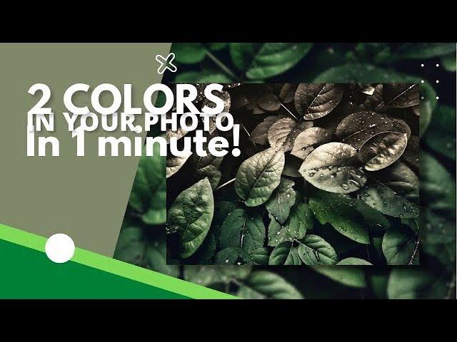 Blend your photo in 2 colors! | In 1 minute