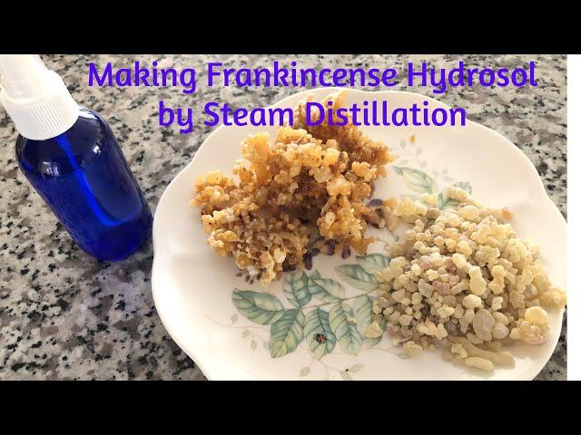 Making Frankincense Hydrosol by Steam Distillation with LETIME 500mL KD