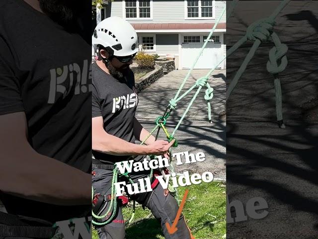 6 Ways to Climb a Tree - DEMONSTRATED