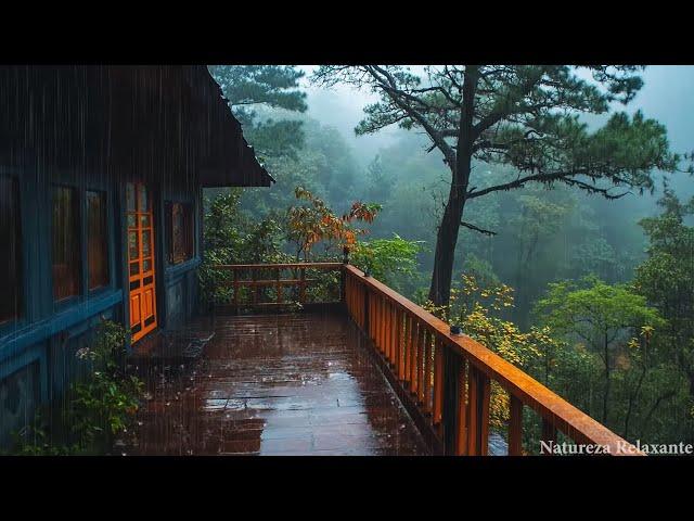 Rain Sounds for Sleeping | 99% Instantly Fall Asleep | Heavy Stormy Rain & Strong Thunder in Forest