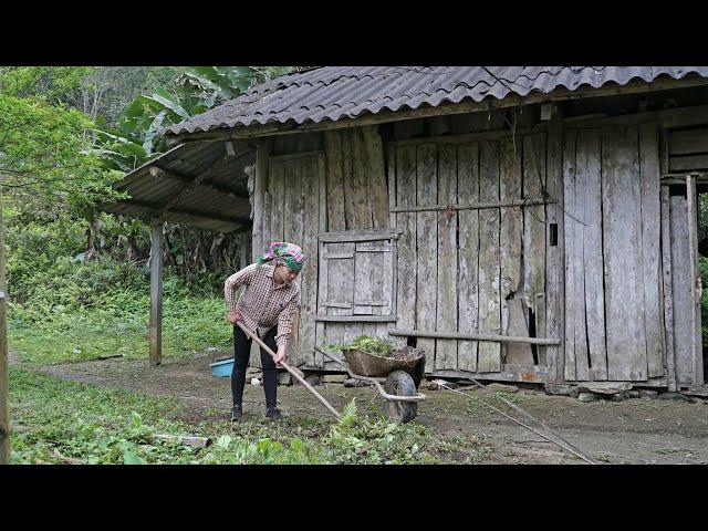 What will Tu Nhat life be like on her first day in an abandoned house deep in the forest?