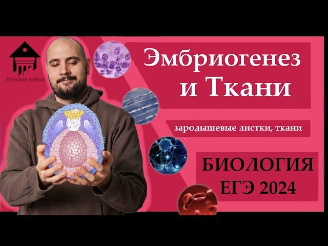 Эмбриогенез, Ткани животных для ЕГЭ 2024 |ЕГЭ БИОЛОГИЯ|Freedom|