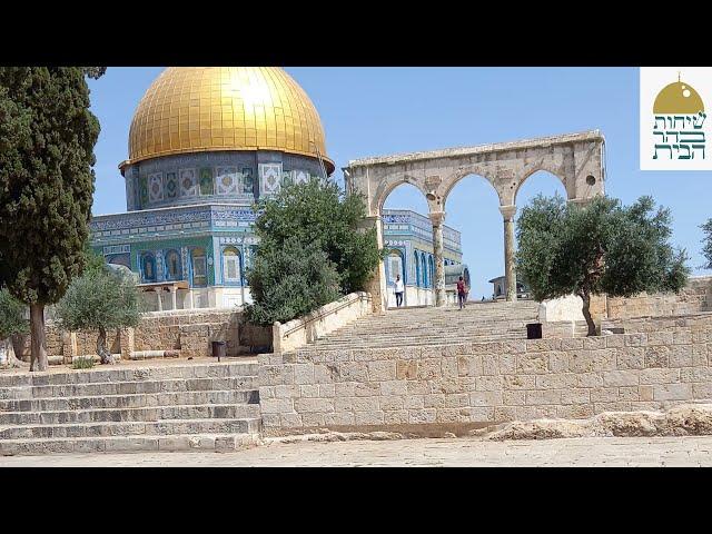 peace will come to the Temple Mount.הר הבית, ג' בתמוז, פטירת הרבי מלובביץ השבעת הממשלה וגאולת המקום