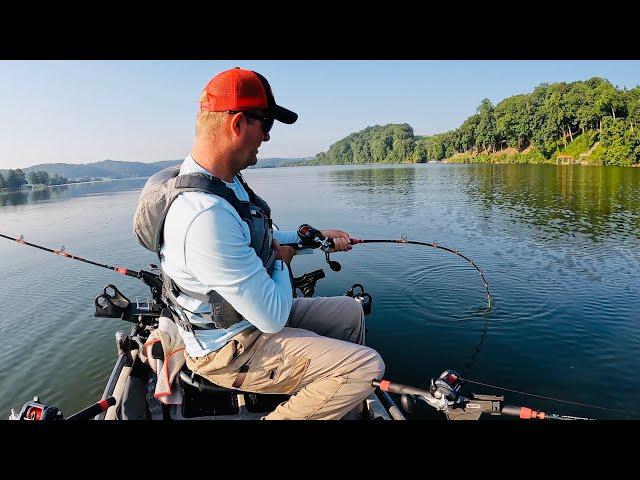 GIANT Flathead PANDEMONIUM