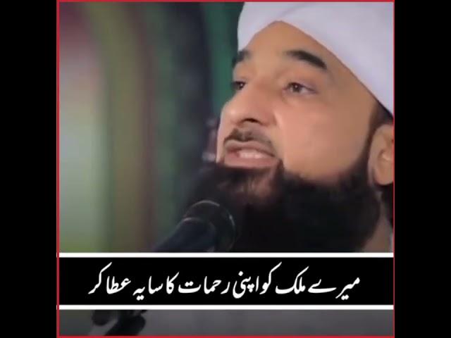 New Bayan Peer Muhammad Raza Saqib Mustafai New Best Whatsapp Islamic Status #shortvideo #vural