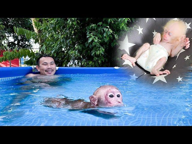 Bibi loves the experience of swimming with Dad while baby monkey sleeps!