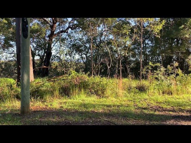 SOLD 12 Deenya Parade, Russell Island For Sale with Kat Gawlik $89,000