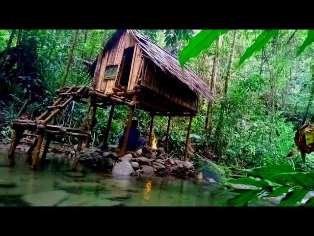 Bushcraft Rain, Build a Survival Shelter on a Flood-Proof River Route, Fishing and Cooking