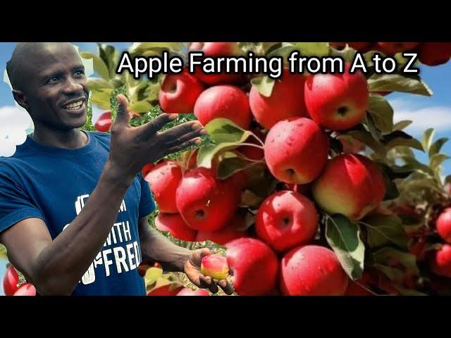 Apple Farming. Apple Variety Selection,Planting to Harvesting & how to get fruits in a short period