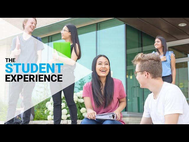 The Student Experience