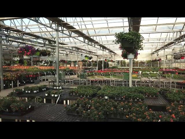 Video Tour of Smith's Gardentown Greenhouses!