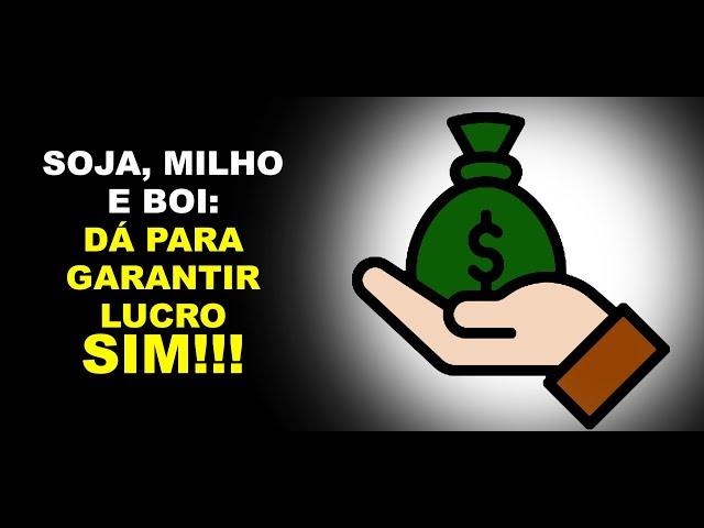 SOJA, MILHO E BOI: DÁ PARA GARANTIR LUCRO SIM!!!