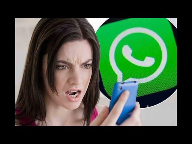 Детализация Whatsapp   что она содержит?