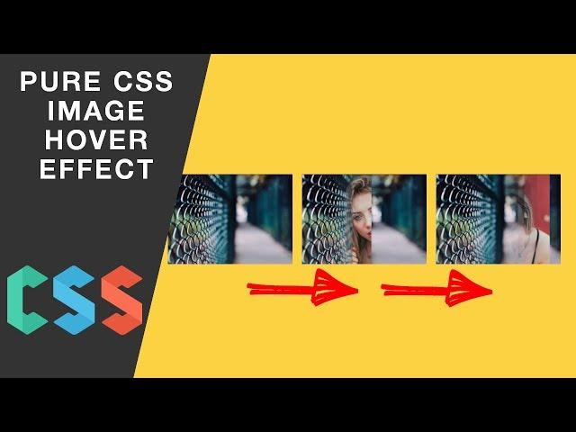 Amazing Image Hover Effect With Pure Css
