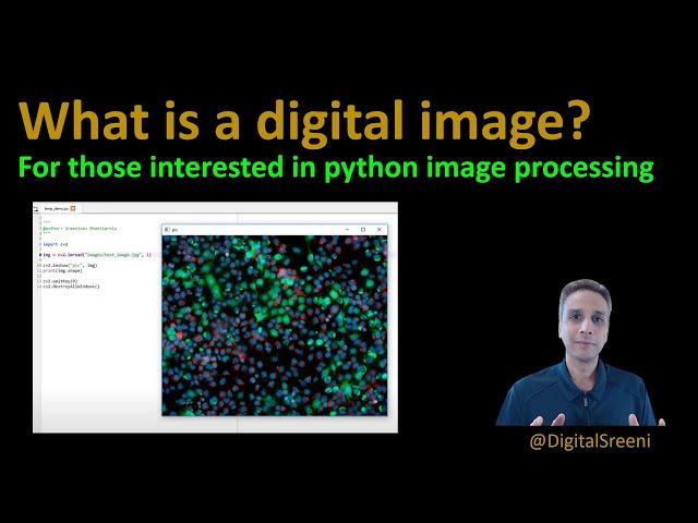 04 - What is a digital image?