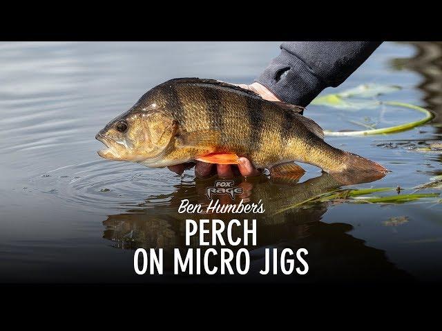 ***FOX RAGE TV*** PERCH ON MICRO JIGS WITH BEN HUMBER