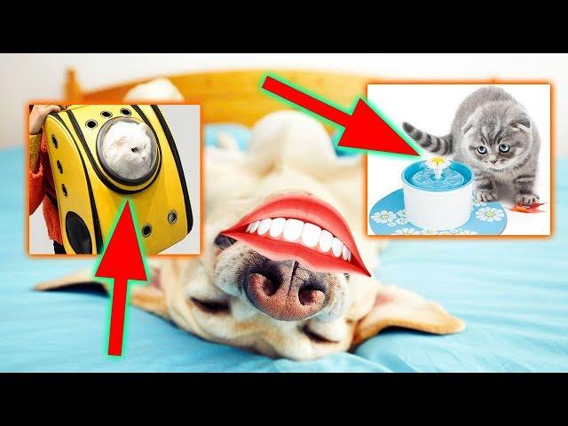 14 USEFUL PET ITEMS FROM ALIEXPRESS (2019) | ALIEXPRESS DOG CAT HAUL. CLOTHES. ACCESSORIES