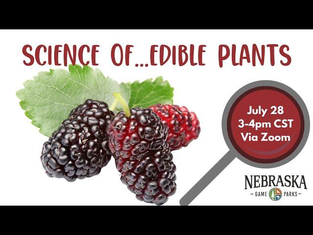 Science of...Edible Plants