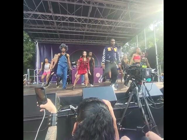 Spike Lee presents BK Loves MJ  & Prince Celebration in Fort Greene  Park.