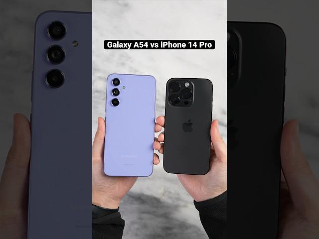 Samsung Galaxy A54 vs iPhone 14 Pro Camera Comparison