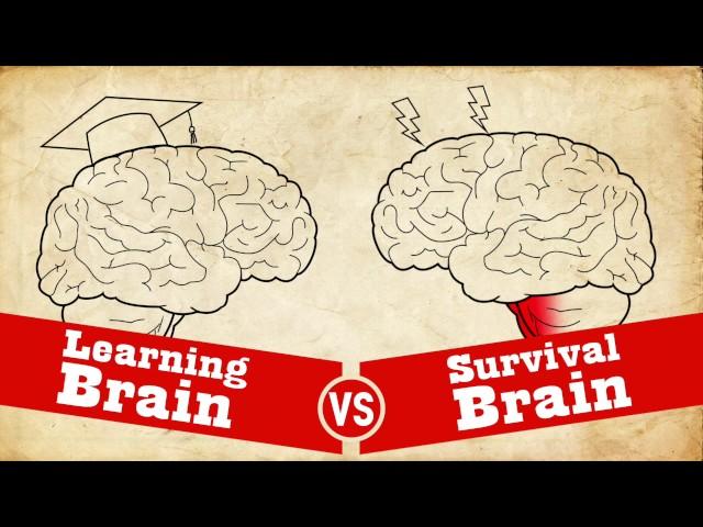 Understanding Trauma: Learning Brain vs Survival Brain