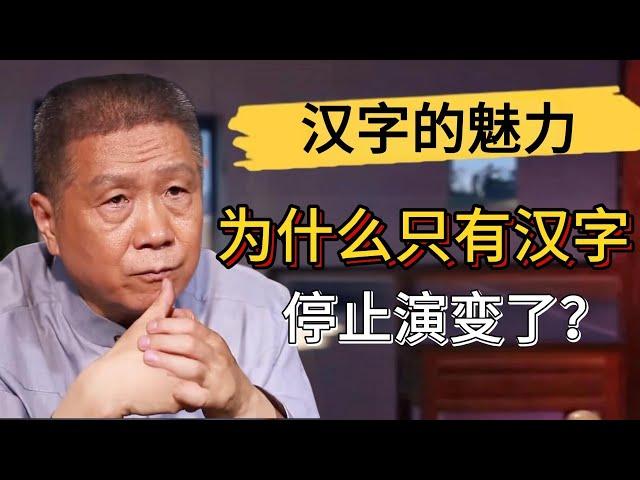 爲什麽只有漢字停止演變了？漢字是最高級的語言？日本人以會漢語為榮？#觀復嘟嘟 #馬未都 #圆桌派