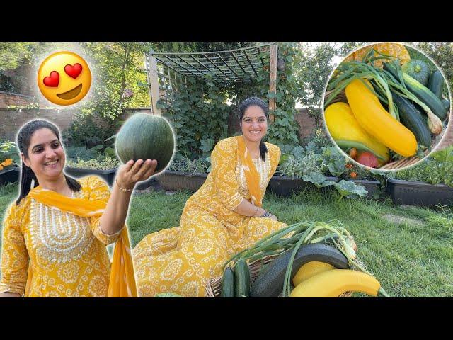 First Harvesting of our Vegetable Garden in UK  | indian Family in UK