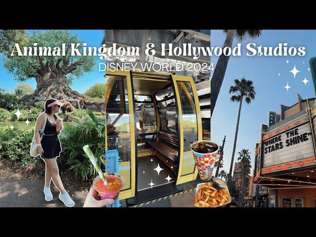 DISNEY WORLD VLOG  DAY 2 | Animal Kingdom, Nomad Lounge, Hollywood Studios, Fantasmic, & more!