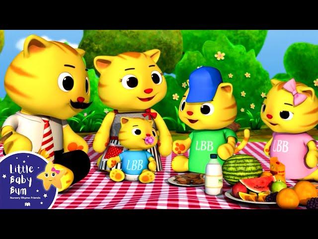 Finger Family - Cat Family | Nursery Rhymes for Babies by LittleBabyBum - ABCs and 123s