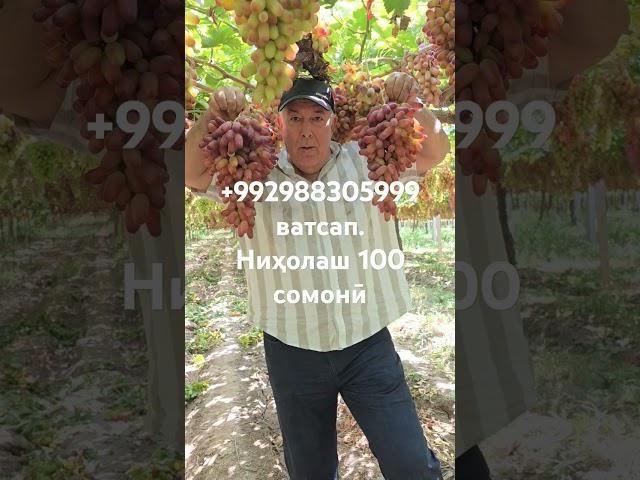 2 января 2025 г.