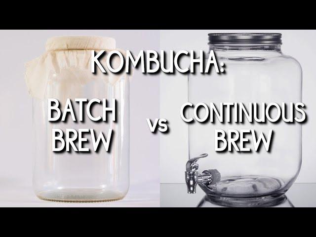 Kombucha: Batch Brew vs. Continuous Brew