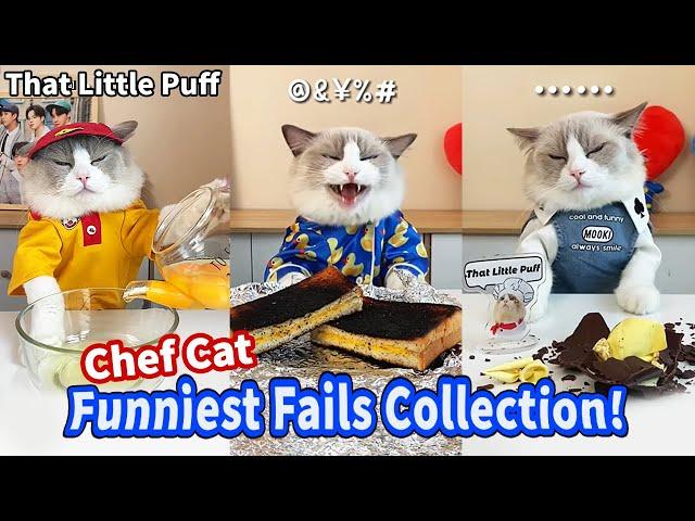 Funniest Fails Collection! | That Little Puff