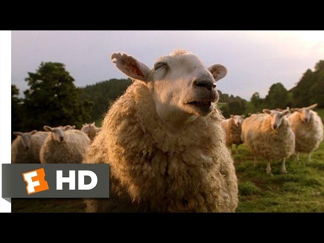 Babe (7/9) Movie CLIP - The Sheep Password (1995) HD