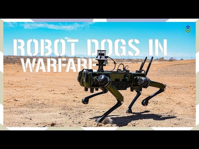 Robot Dogs Are Entering the Battlefield: Here's What We Know