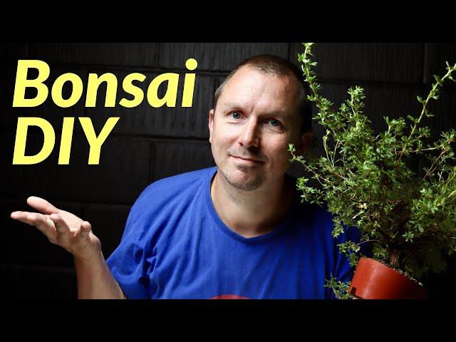 2 (Easy) Techniques to Create Bonsai for Beginners: How to Make Bonsai from Nursery Potentilla: