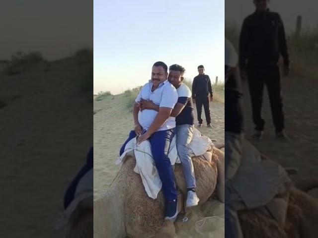 A man on camel fell down || #funny video#viglant #viralvideo #youtuber #youtube #short || viglant