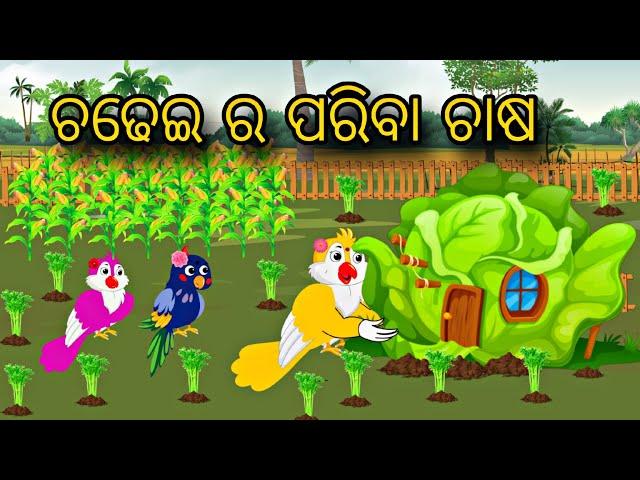 Chadhei Ra Pariba Chasa \\ Odia Stories \\ Odia Gapa \\ Chadhei Gapa \\ Bird Story \\ Kahani