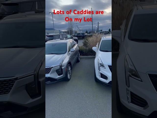 Beautiful Cadillacs