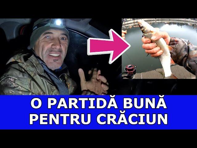 PESCUIT PE SĂLBATIC ÎNAINTE DE CRĂCIUN