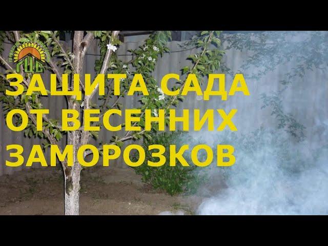 Как защитить сад от весенних заморозков?