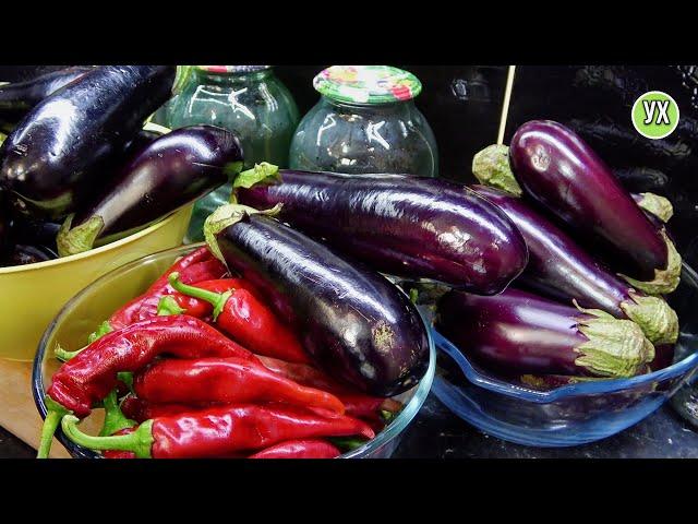 Eggplants for the winter WITHOUT FREEZING. For salads, casseroles  + hot peppers for the winter.