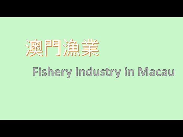 澳門漁業：醃製鹹魚的方法