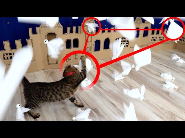 CAT ATTACK on ghost town in real life! 