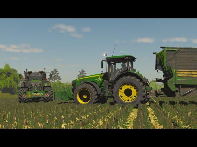 FS 19 - Agro Vojvodina 2020 - SILAŽA - Ep. 22