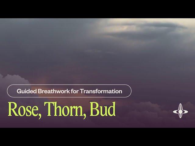 Rose, Thorn, Bud | Breathwork for Transformation (8 minutes)