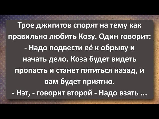 Зухра и Трое Джигитов! Лучшие Анекдоты Всех Времен!