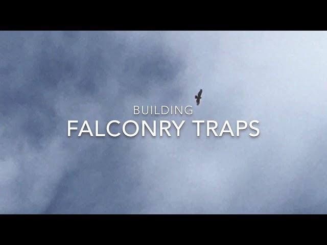 Building Falconry Traps