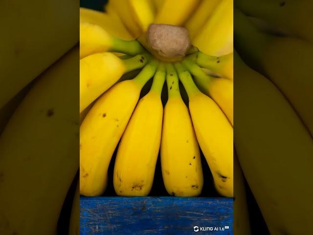 Created interesting AI content video. To get more AI video like this video