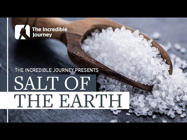 Historical Importance of Salt and How it Shaped Civilisations