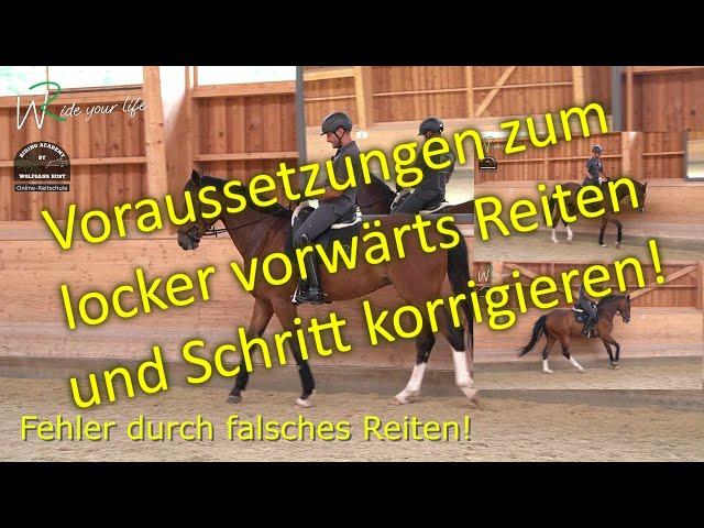 F140 Den Schritt durch Trab und Galopp verbessern! Fehler und Lösungen am Pferd erklärt und gezeigt.